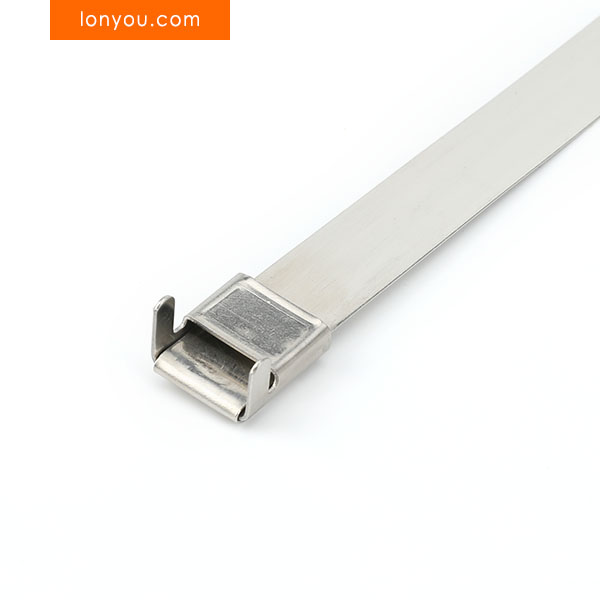 L Clip Stainless Steel Ties
