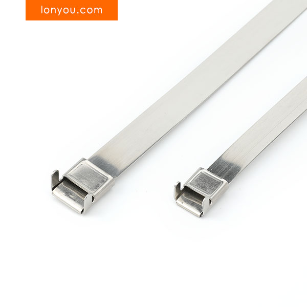 L Clip Stainless Steel Ties