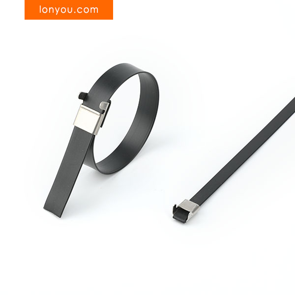 L Clip Stainless Steel Ties