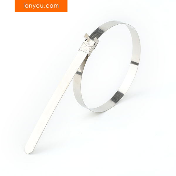 LX Clip Stainless Steel Ties