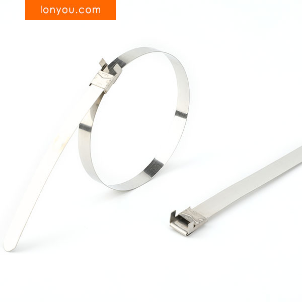 LX Clip Stainless Steel Ties