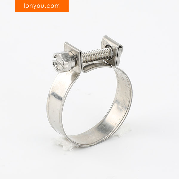 Mini Hose Clamps