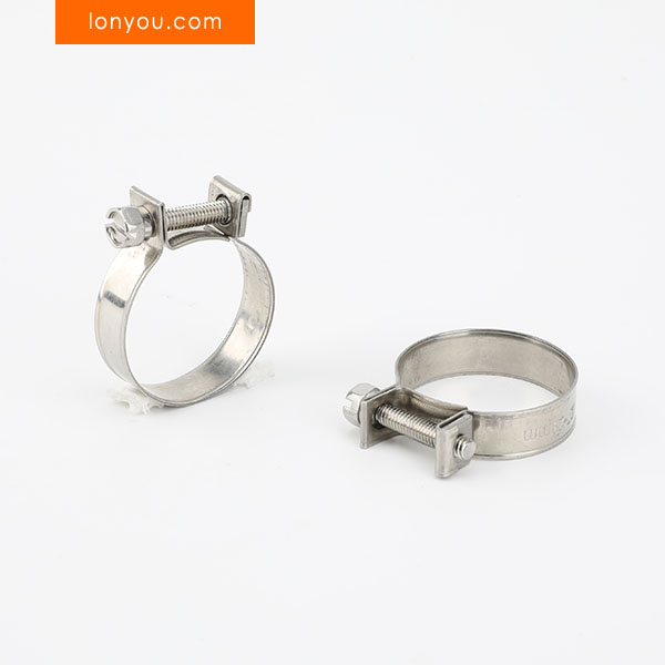 Mini Hose Clamps