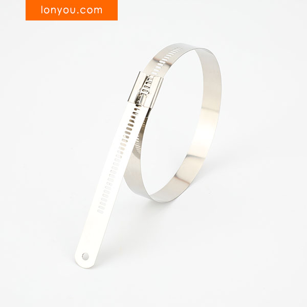 Multi Lock Stainless Steel Cable Ties
