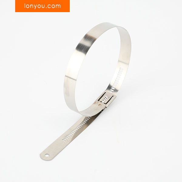 Multi Lock Stainless Steel Cable Ties