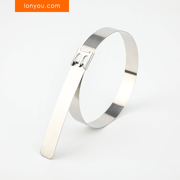 Dual Ball Self-locking Cable Ties