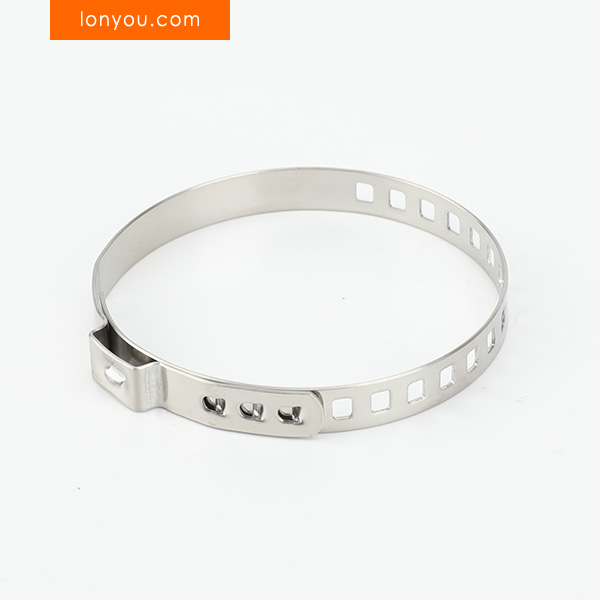 Adjustable Single Ear Clamps