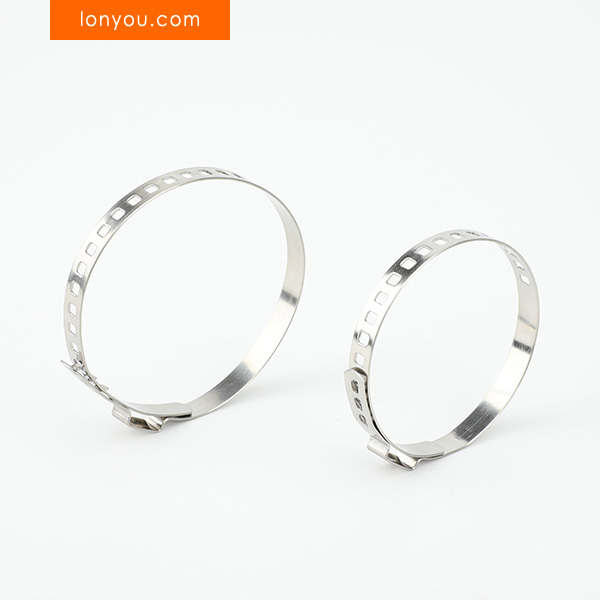Adjustable Single Ear Clamps